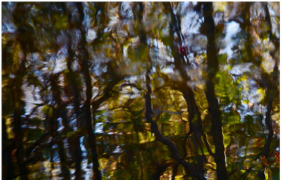 https://www.flickr.com/photos/deniscollette/25546054807/in/photostream/